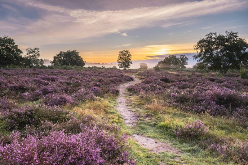 Koel zomerweekend, daarna zonnig en warm